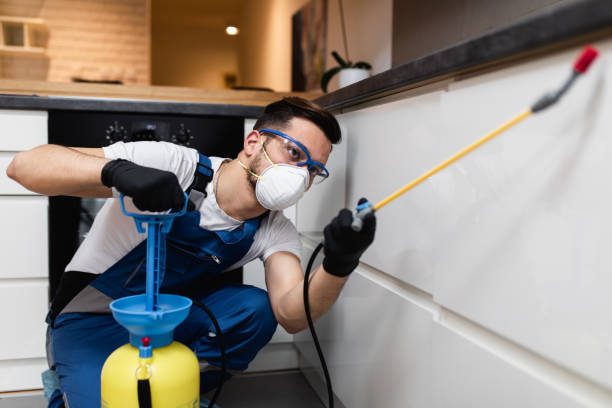 Best Pest Control Near Me  in Fort Thomas, KY