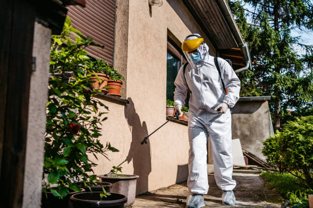 Best Mosquito Control Services  in Fort Thomas, KY