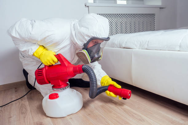 Best Wasp Removal Services  in Fort Thomas, KY