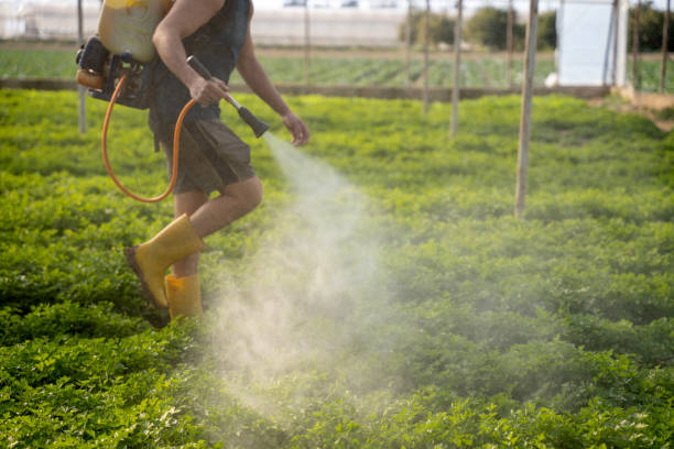 Professional Pest Control in Fort Thomas, KY