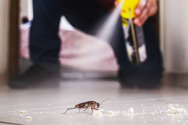 Best Termite Control Services  in Fort Thomas, KY